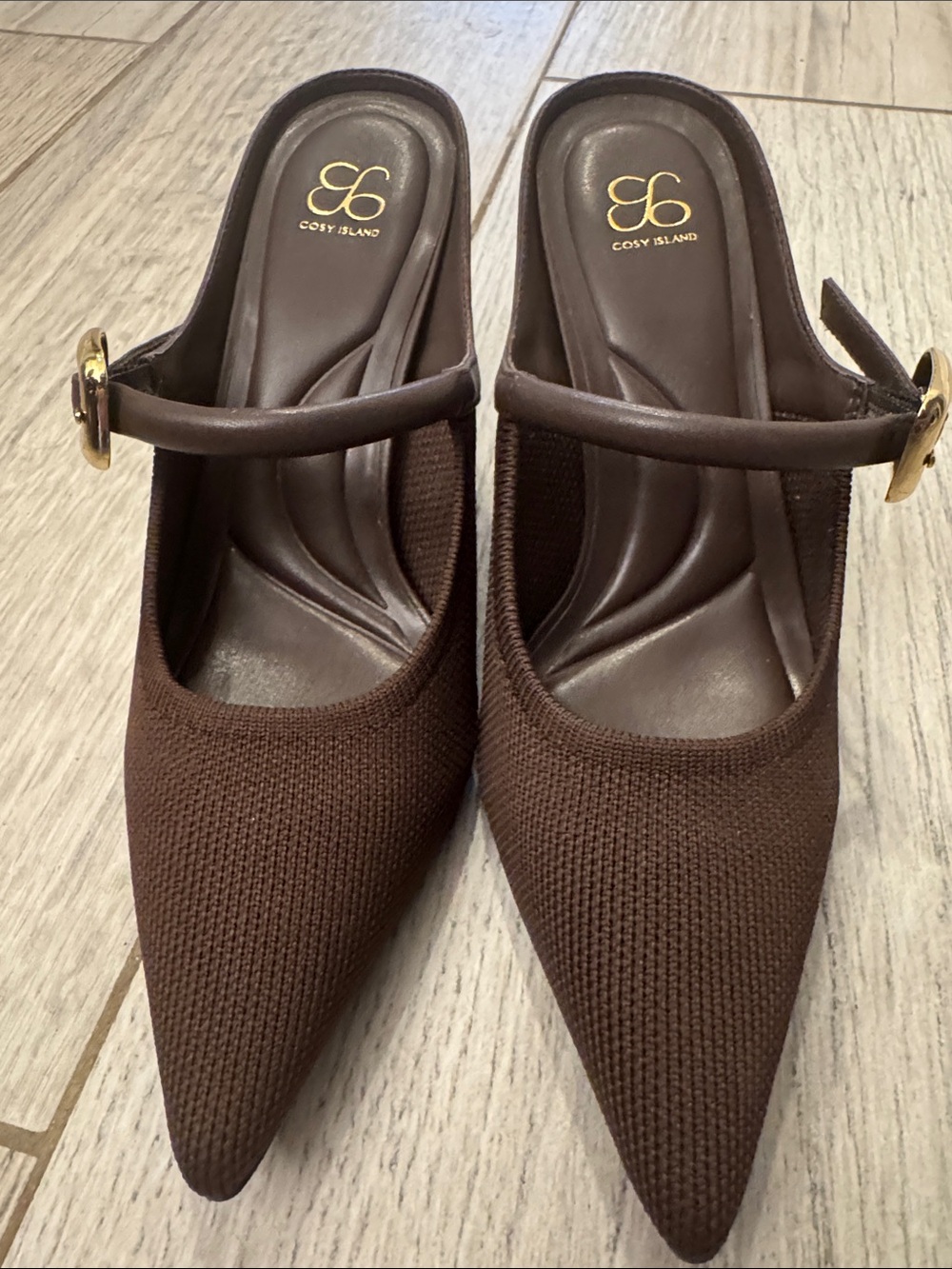 Cosy Island Brown Pointed Mary Jane Slingback Heels